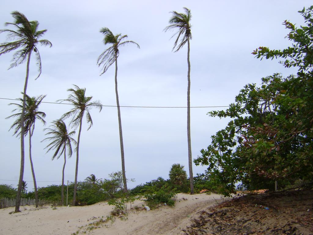 Pousada Paraiso Das Canárias Kültér fotó